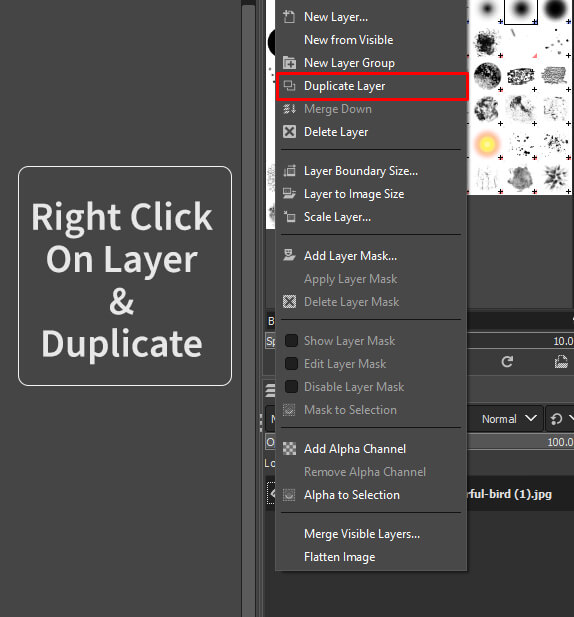 Step 2 Create Duplicate Layer
