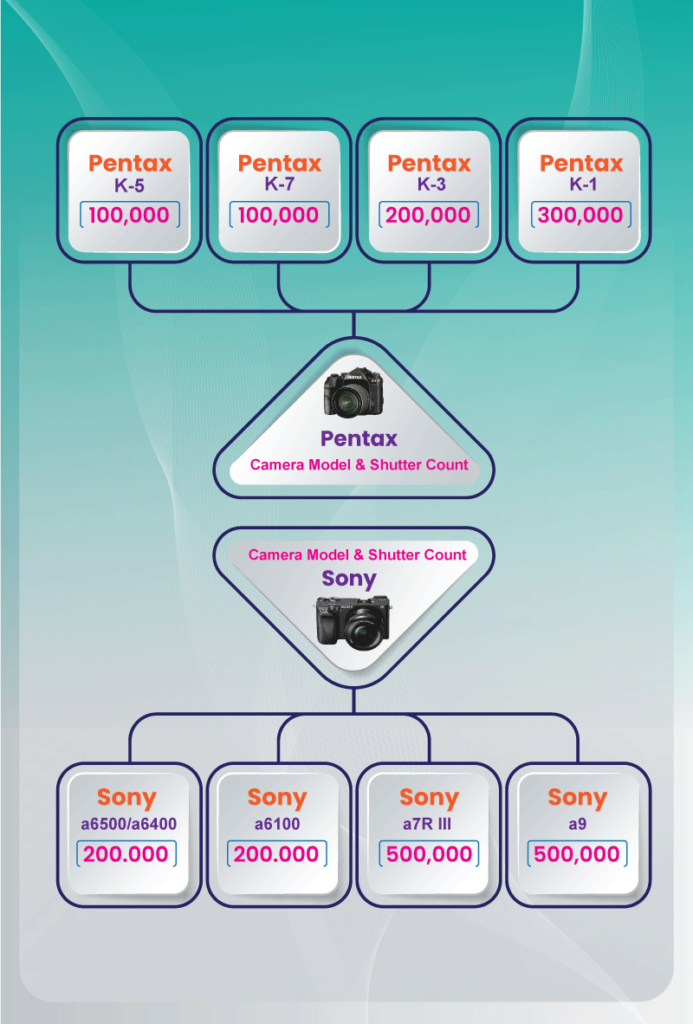 Shutter Life of Pentax & Sony