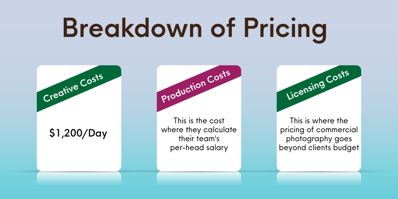 Detailed Breakdown of Pricing